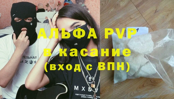 бошки Бородино