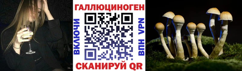 Галлюциногенные грибы GOLDEN TEACHER купить закладку Ачхой-Мартан